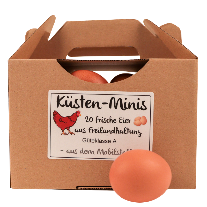 Karlbergfelder KüstenEier 20er S im Körbchen